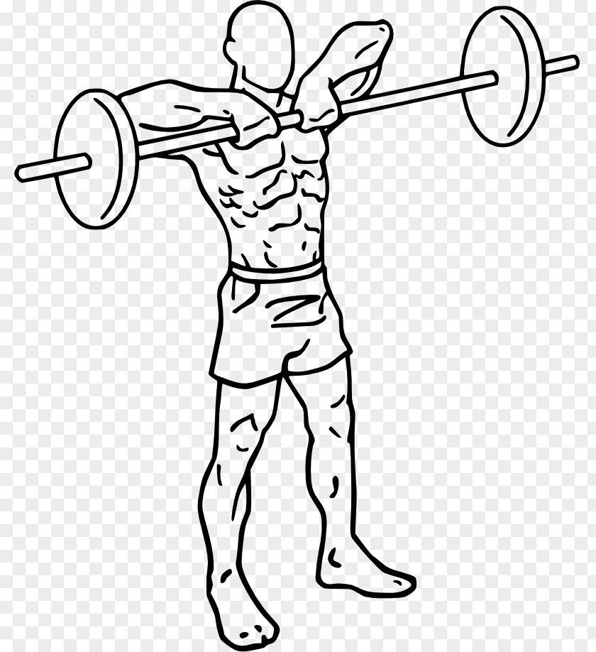 Barbell Front Raise Overhead Press Dumbbell Fly Upright Row PNG