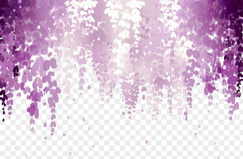 Dream Wisteria Picture Material Floribunda Flower Pink Purple Wallpaper PNG
