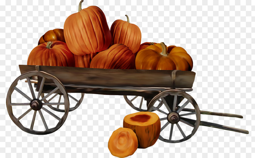 Pumpkin Harvest Halloween PNG