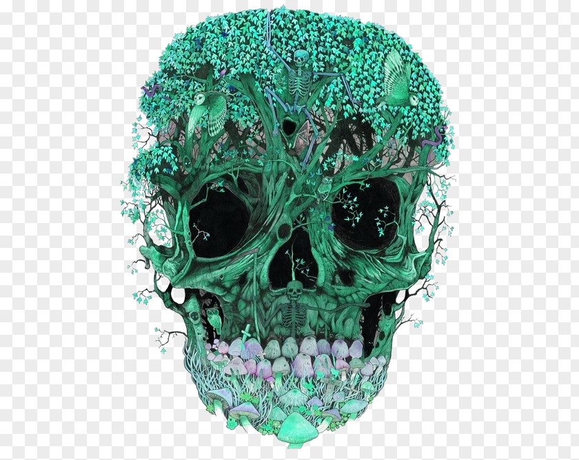 Skull Art Calavera Lysergic Acid Diethylamide Skeleton PNG