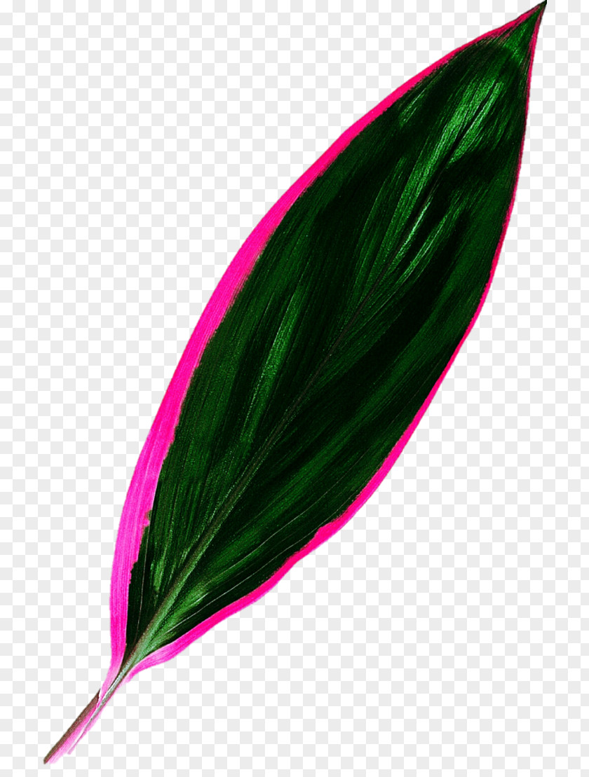 Tropical Leaf Tropics Green Clip Art PNG