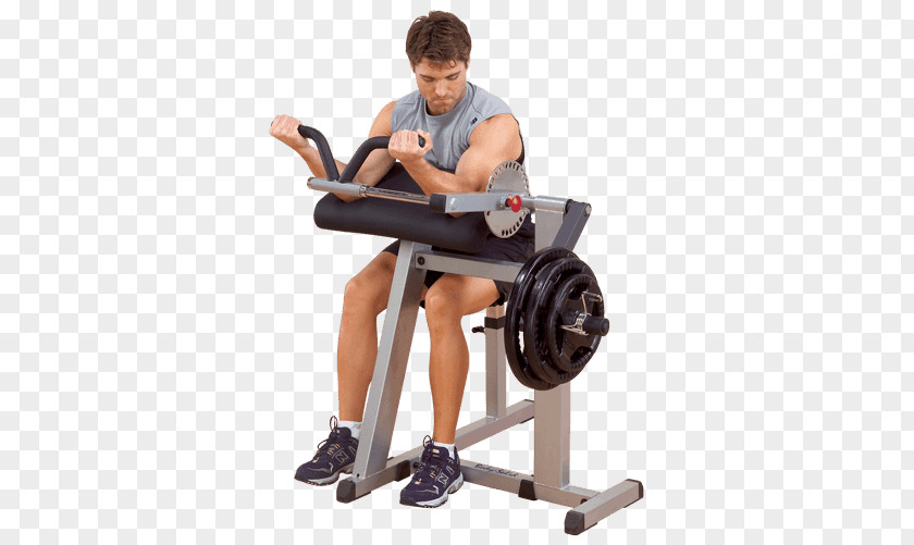 Biceps Curl Triceps Brachii Muscle Bench Strength Training PNG