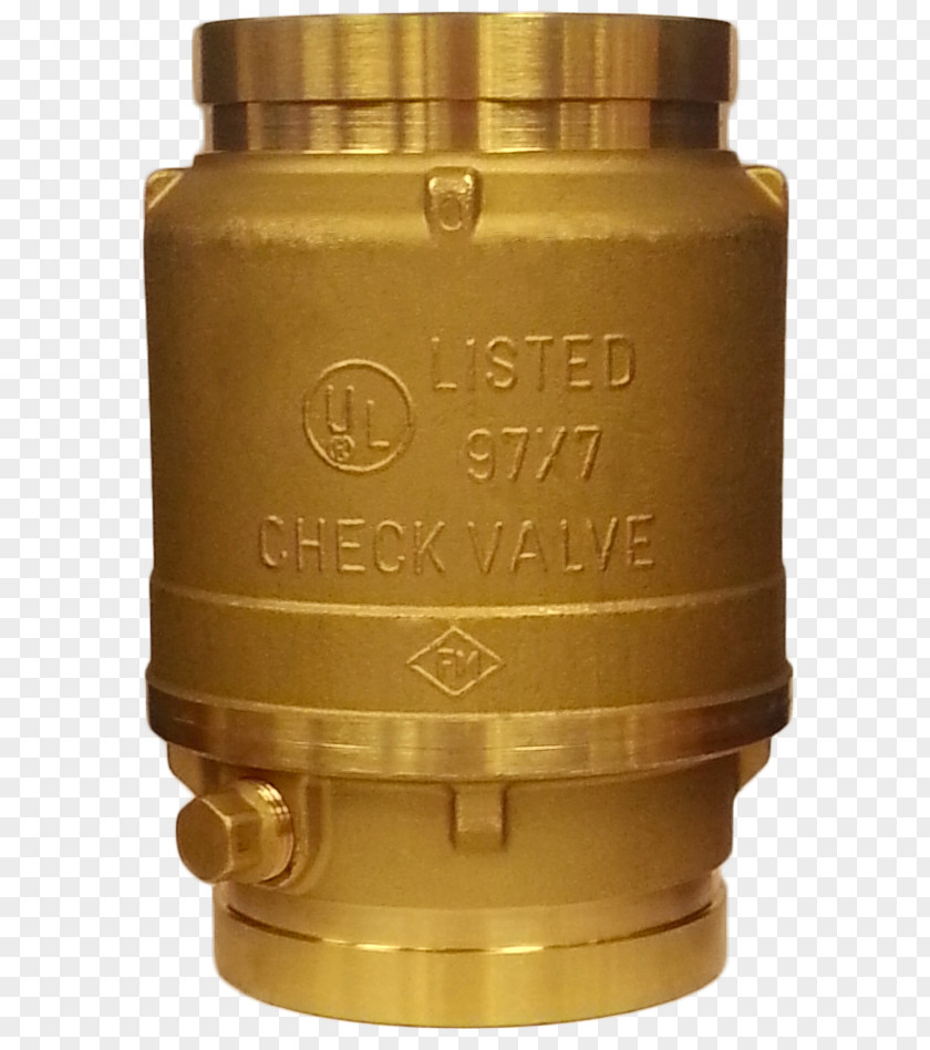 Brass Check Valve Siamese Connection Ball PNG