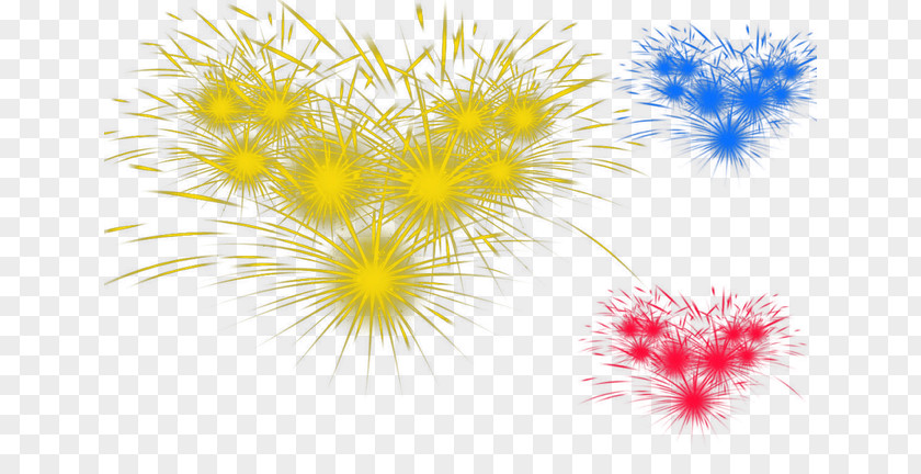 Fireworks Chrysanthemum Dandelion Petal Wallpaper PNG