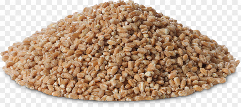 Millet Grain. Cereal Germ Whole Grain Embryo Grasses PNG