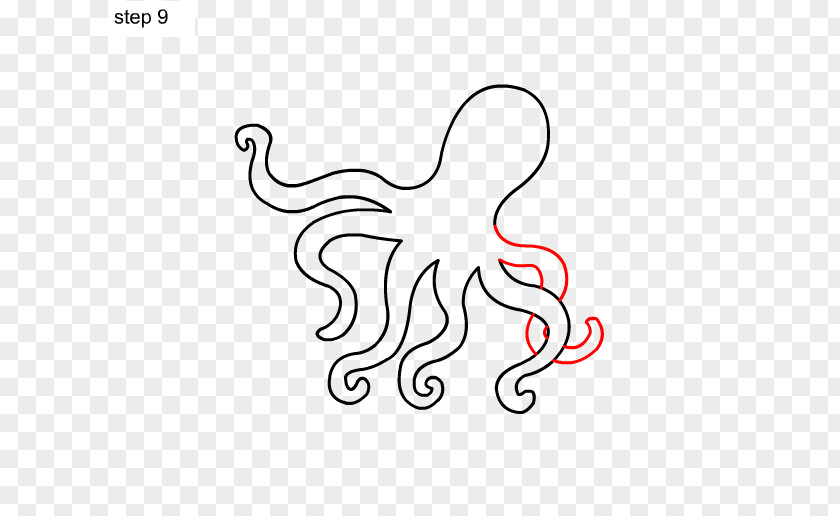 Octopus Drawing Vitreledonella Clip Art PNG