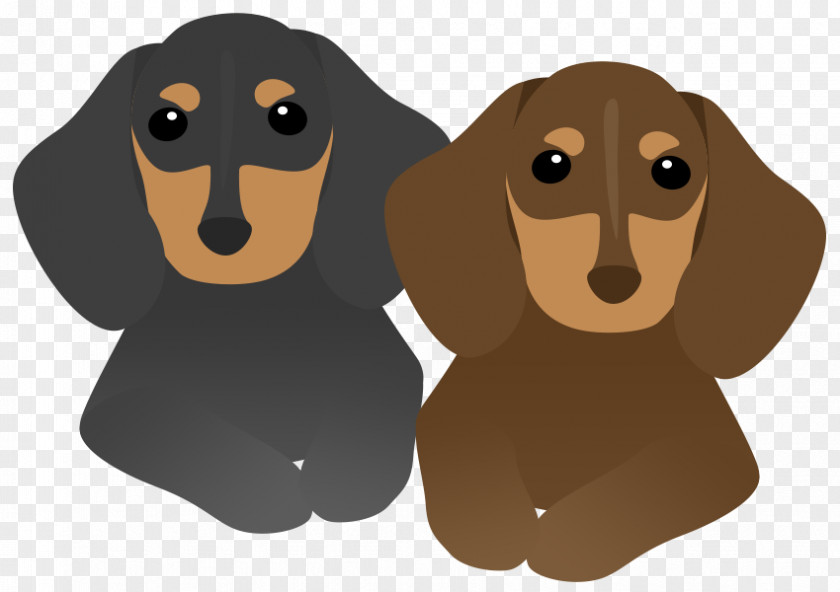 Pets Material Plane Dachshund Dog Breed Puppy New Year Card PNG