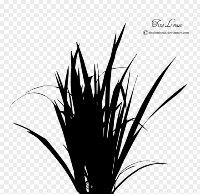 Underbrush And Psd Grass Silhouette PNG