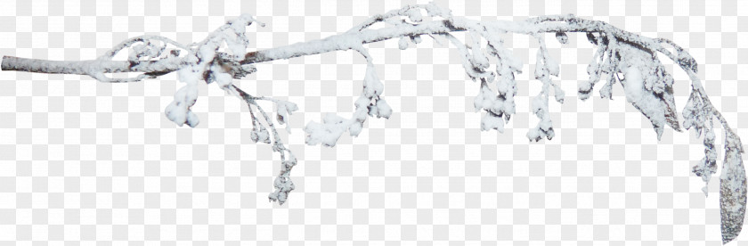 Winter Snow-covered Branch Clip Art PNG