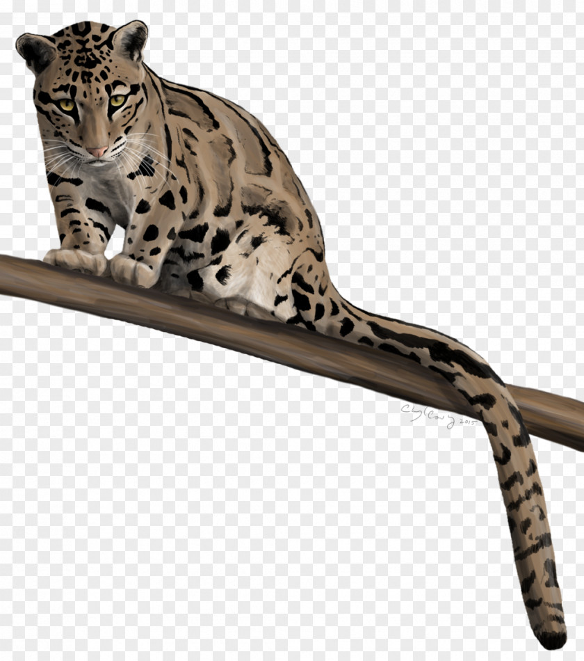 Leopard Cheetah Impala Felidae Ocelot PNG