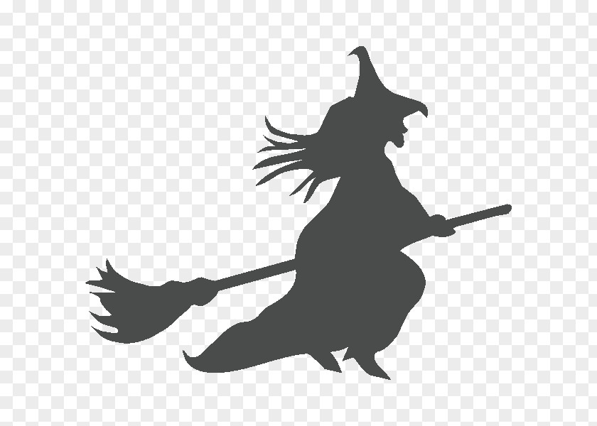 Witch Witch's Broom Witchcraft PNG