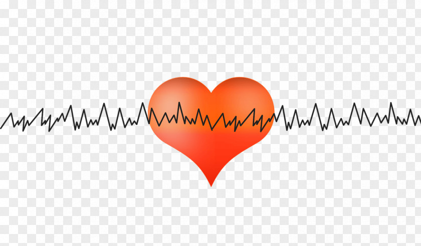Heart Beating Rate Cardiology Clip Art PNG