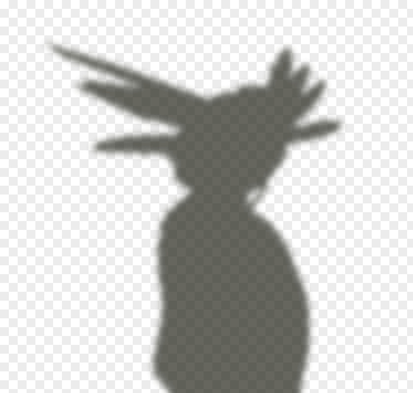 Paper Shadows Finger Silhouette Black White PNG