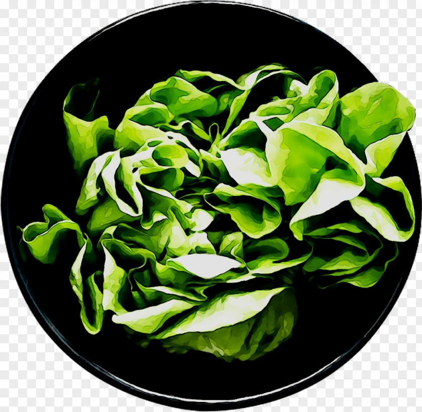 Spinach Spring Greens PNG