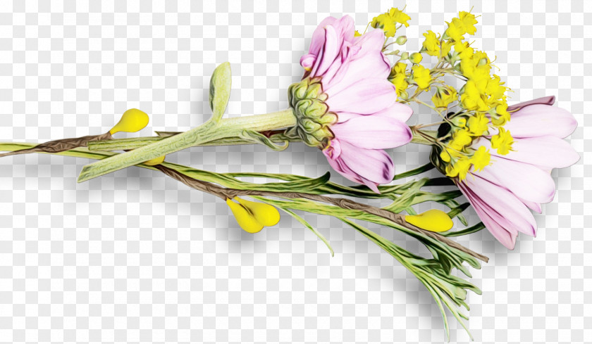 Wildflower Freesia Watercolor Floral Background PNG