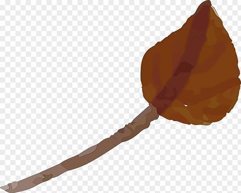 Autumn Leaf Colorful PNG