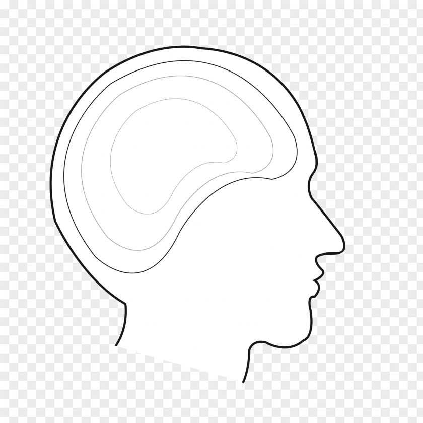 Brain Cerebrum Download Black And White Ear PNG