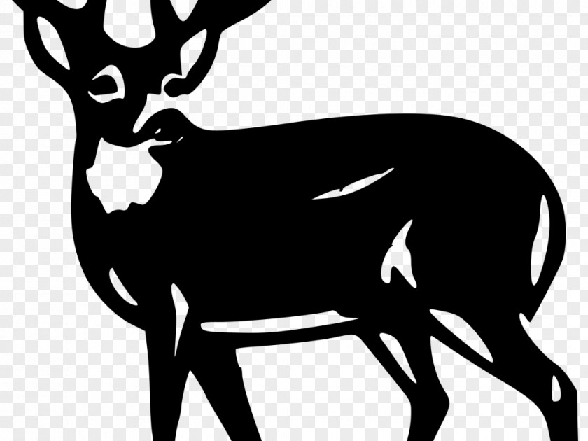 Deer Silhouette Clip White-tailed Art Mule Red PNG