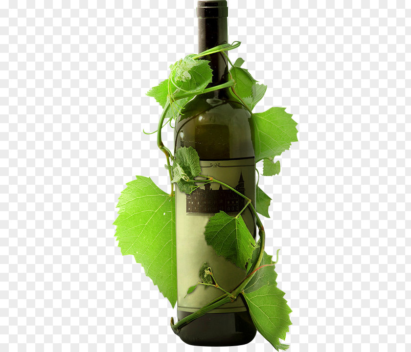 Green Tree Vine Wrapped Around The Bottle Red Wine Laujar De Andarax Poster PNG