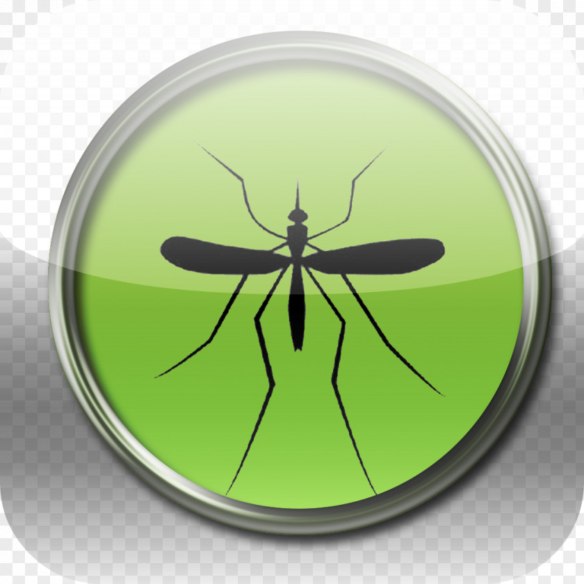 Mosquito Insect Pest Invertebrate ASEAN Declaration PNG