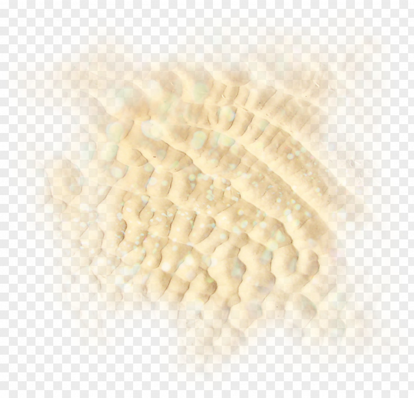 Sand Clip Art Photography Stone PNG