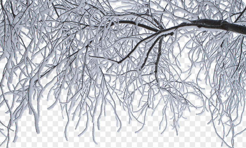Snow Winter Ice Frost Freezing Cold PNG