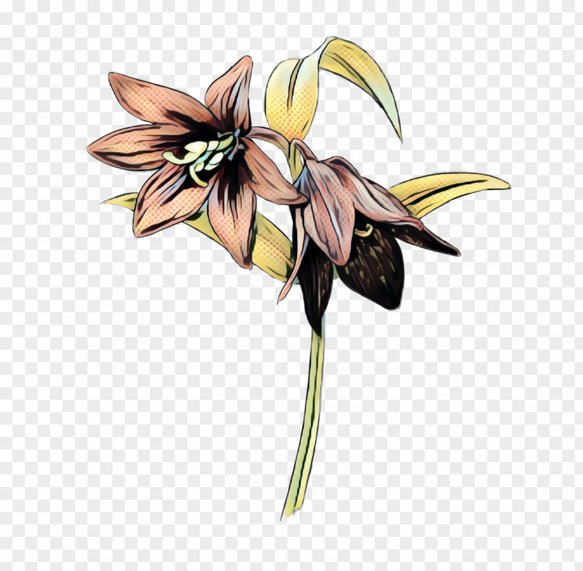 Wildflower Brooch Flowers Background PNG