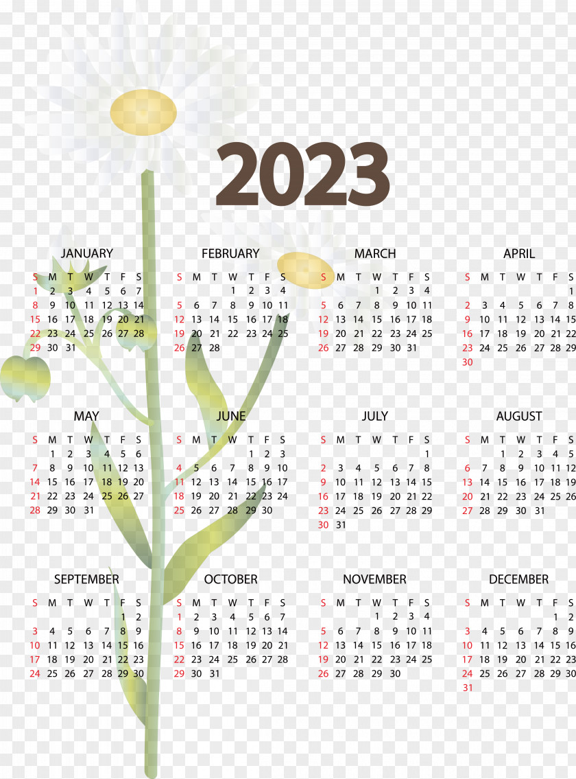 Calendar Calendar Year Islamic Calendar Month June PNG