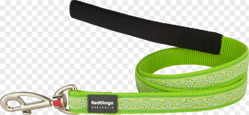 Dog Leash Collar Dingo Harness PNG