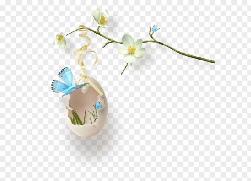 Dry Land Easter Bunny Egg PNG