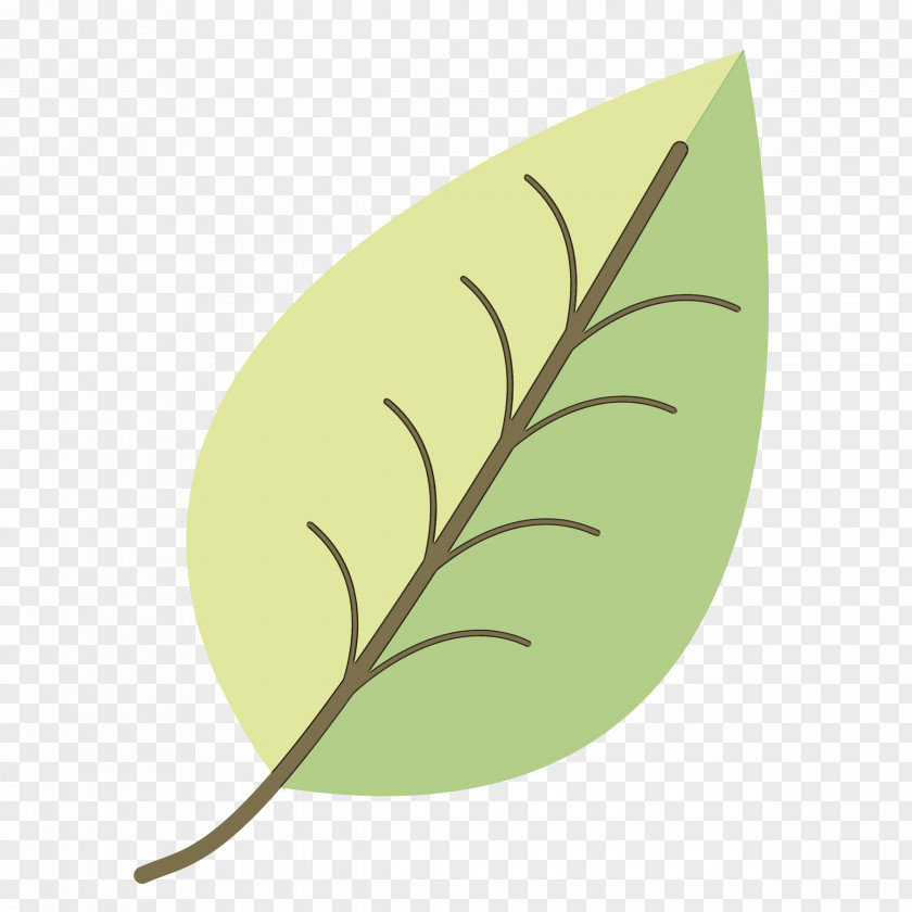 Logo Anthurium Feather PNG