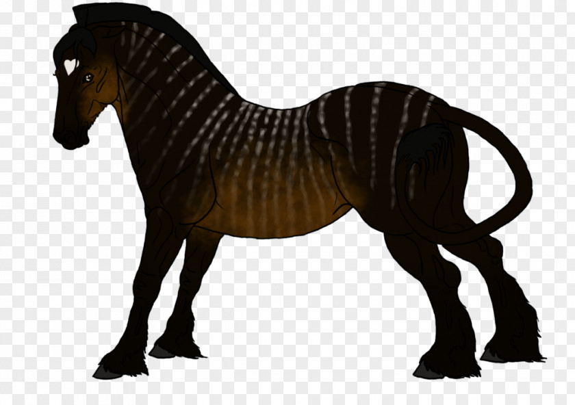 Mustang Mane Stallion Pony Mare PNG