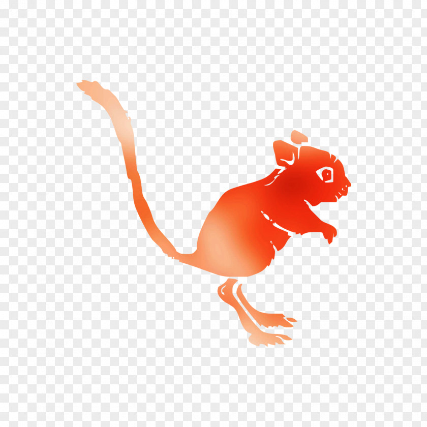 Rodent Carnivores PNG