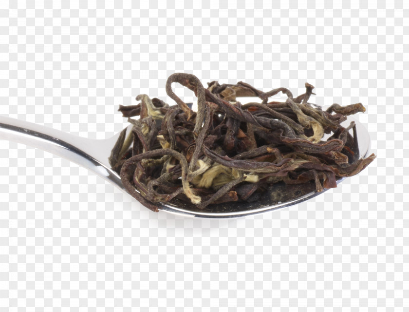 Tea Nilgiri Dianhong Romeritos Golden Monkey PNG