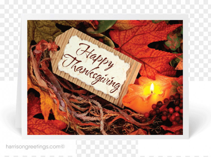 Thanksgiving Greeting & Note Cards PNG