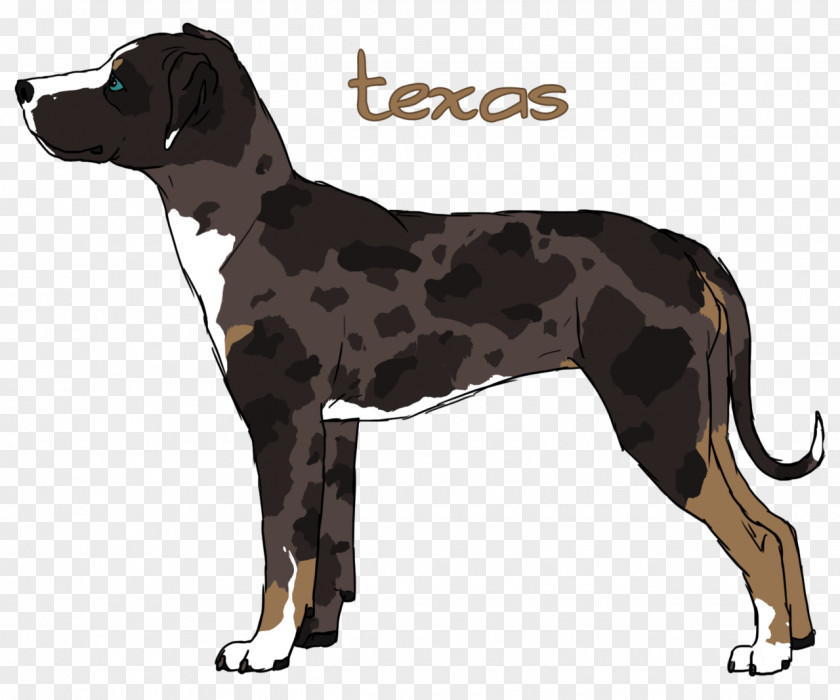 Catahoula Dog Breed Great Dane Crossbreed PNG