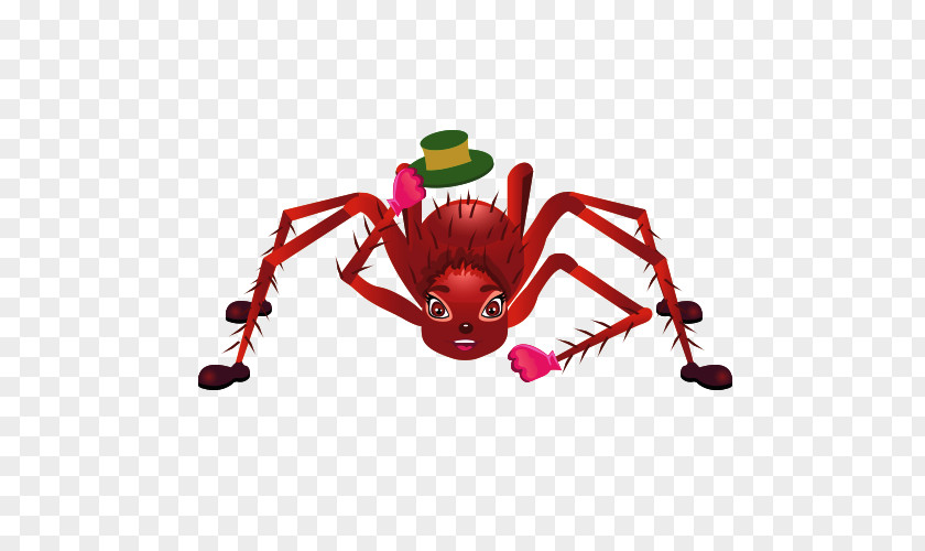 Spider Insect PNG Insect, Cartoon spider clipart PNG