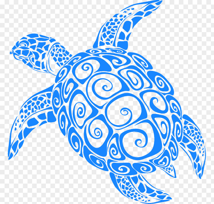 Turtle Paper Sticker Carrelage Decal PNG