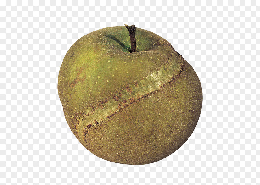 Apple Patte De Loup Granny Smith Fuji Pear PNG