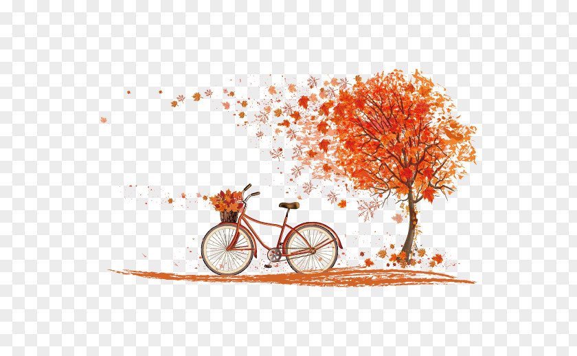 Autumn Maple Leaves Vector Bicycle Leaf Color Cycling PNG