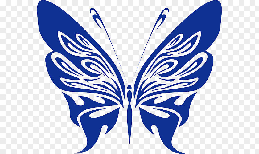 Blue Butterfly Free Content Stock Photography Clip Art PNG