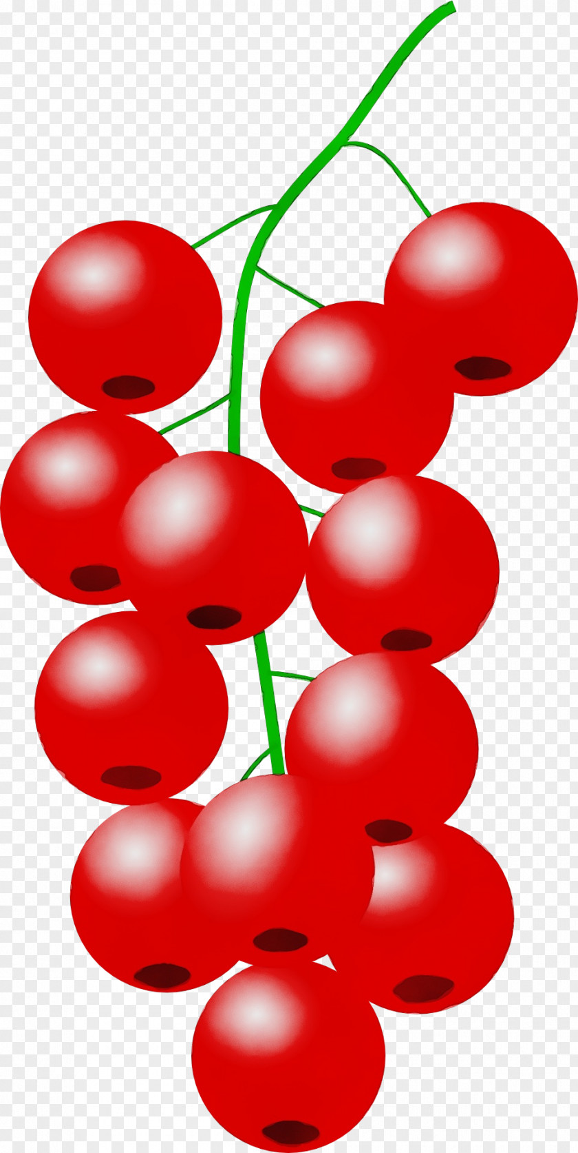 Cherry Lingonberry Red Clip Art Currant Fruit Plant PNG