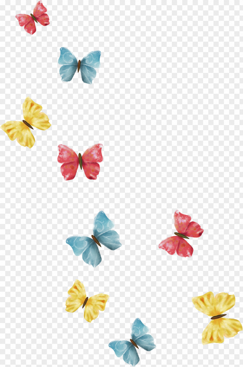 Dandelion Butterflies And Moths Photography Clip Art PNG
