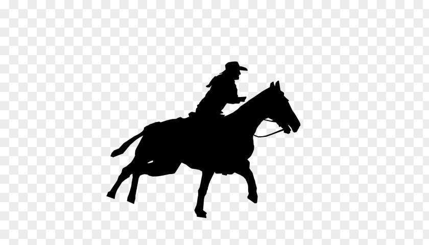 Horse Harness Rodeo Cartoon PNG