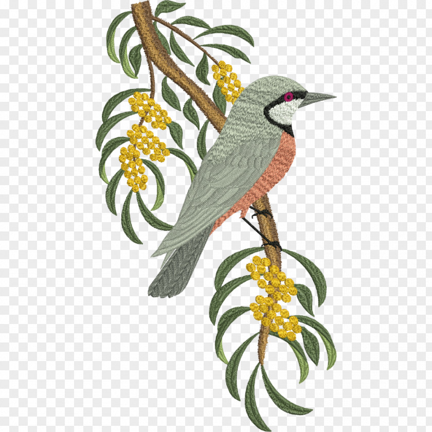 Parrot Bird Machine Embroidery PNG