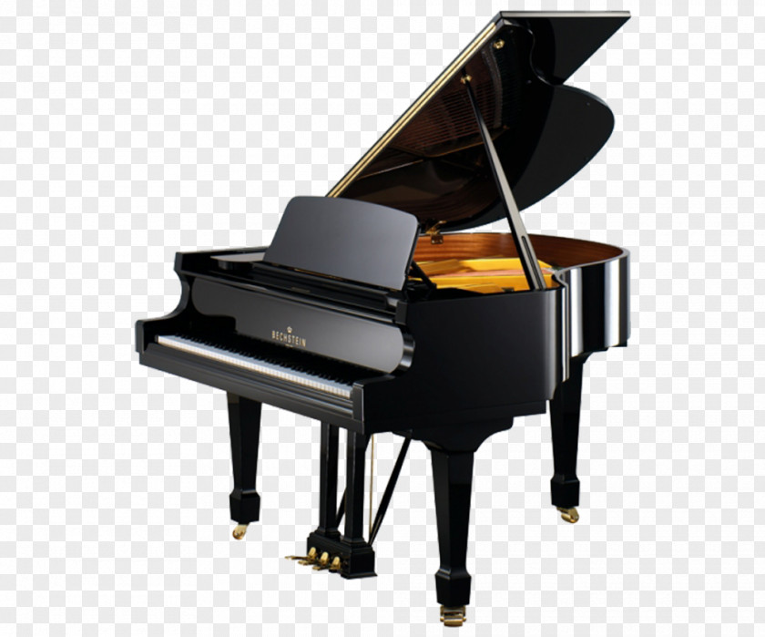 Piano Grand C. Bechstein Upright Fazioli PNG
