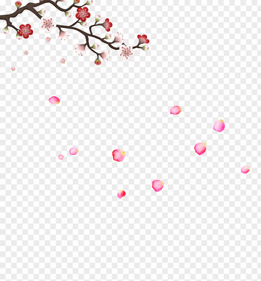 Plum Bloom Blossom Graphic Design PNG