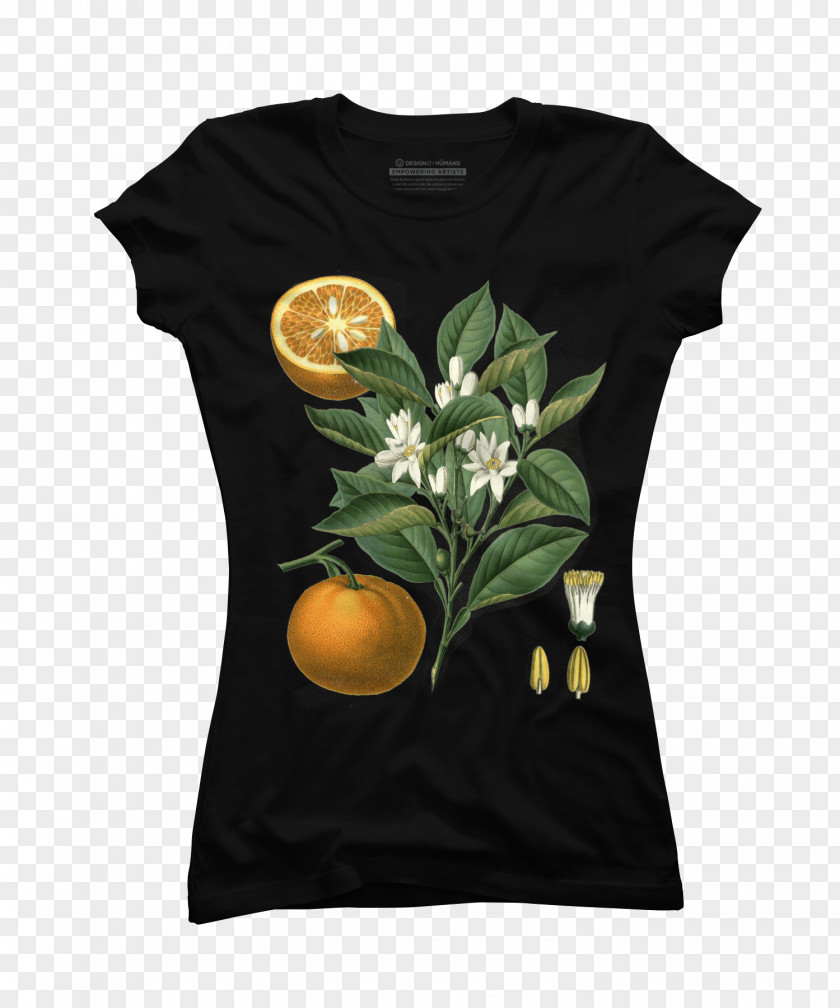 Botanical Essence T-shirt Hoodie Top Sweater Sleeve PNG