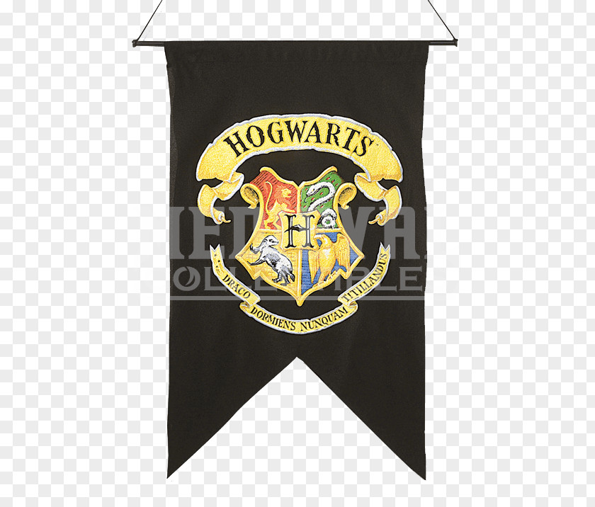 Harry Potter Hogwarts Ravenclaw House Gryffindor Hermione Granger PNG