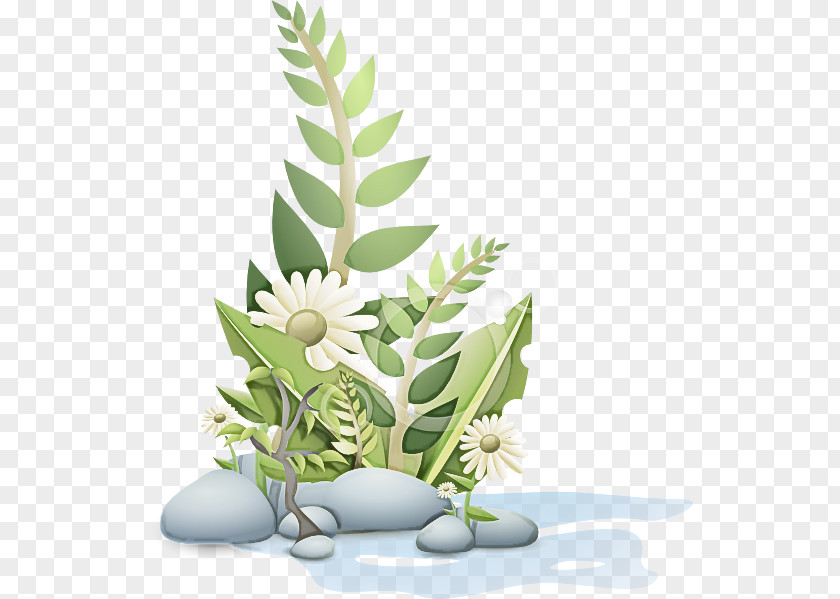 Herb Grass Flowerpot Leaf Plant Houseplant Flower PNG